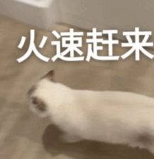 科研人有自己的“吃虾”方式!斯坦福普林斯顿最新开源,仅需一行